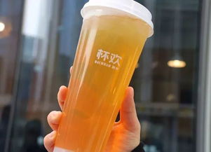 奶茶与微醺的华尔兹 北京8家热门店深度测评报告